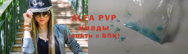 сатива Осташков