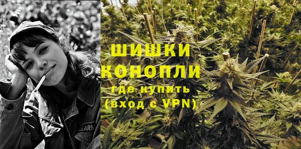 сатива Осташков