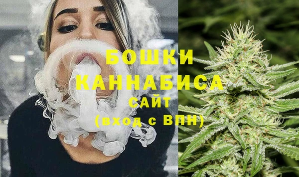 сатива Осташков