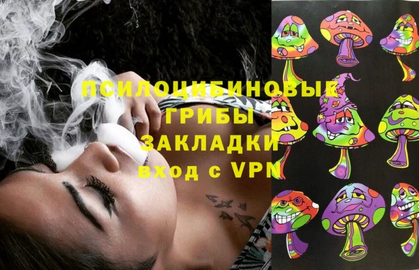 сатива Осташков