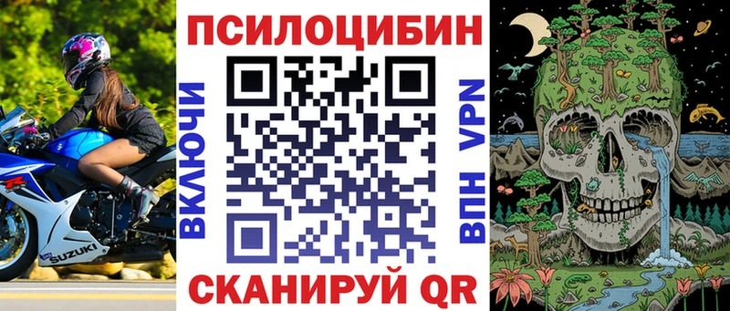 как найти наркотики Фёдоровский Псилоцибиновые грибы MAGIC MUSHROOMS